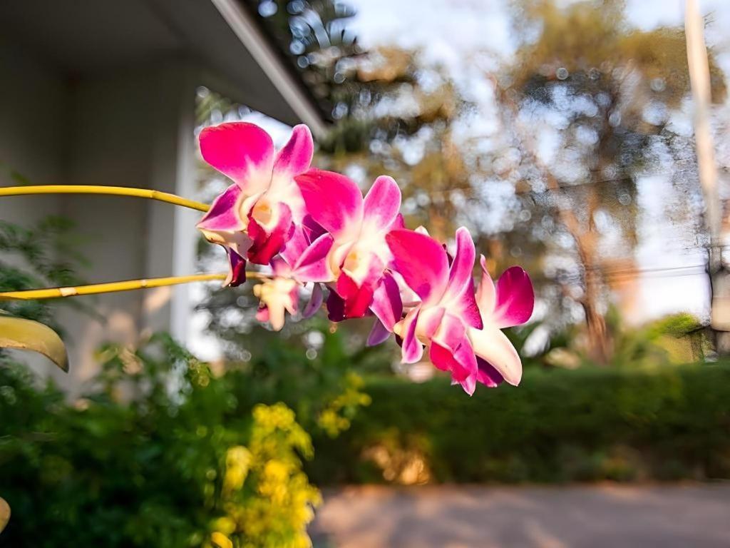 Chayada Garden House And Resort Hotel Nakhonratchasima Exterior photo